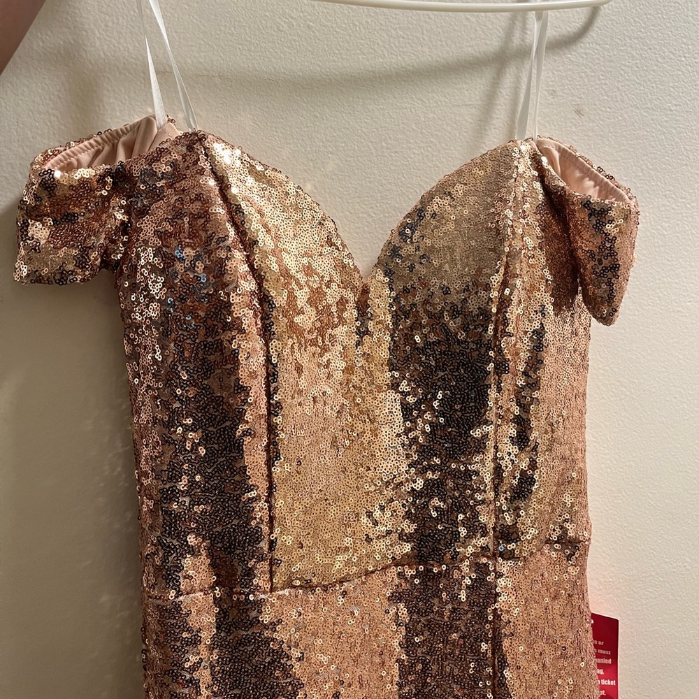 NWT Sequins Gown. GORGEOUS!